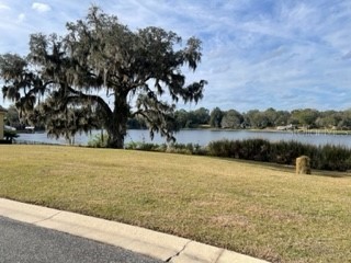 425 W Blue Water Edge Drive Eustis FL 32736 O6390450 image1