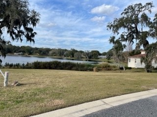 425 W Blue Water Edge Drive Eustis FL 32736 O6390450 image3