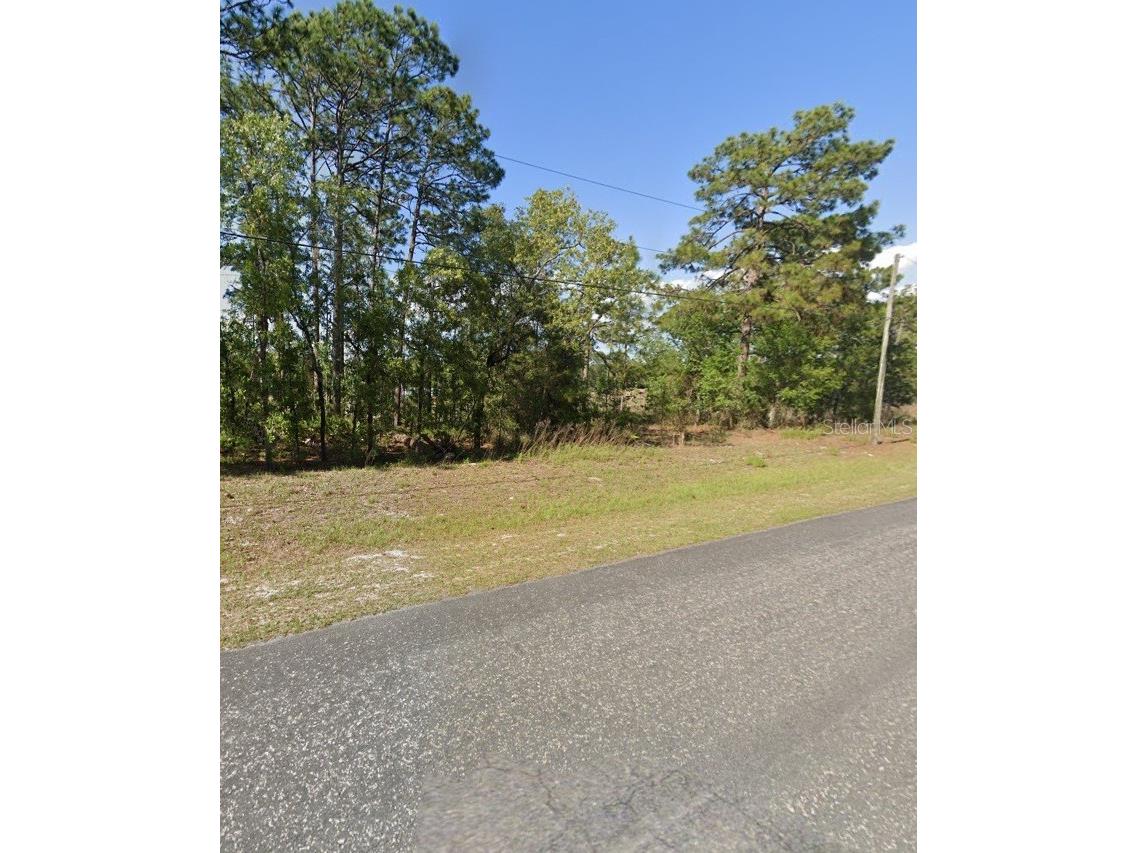 425 W Homeway Loop Citrus Springs FL 34434 TB8501704 image2