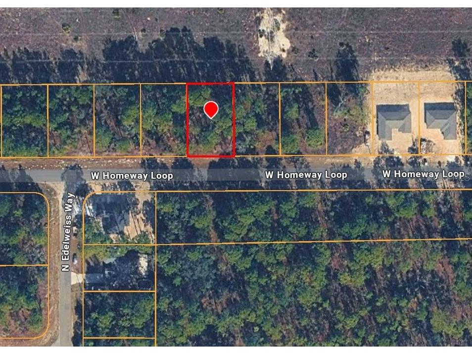 425 W Homeway Loop Citrus Springs FL 34434 TB8501704 image3
