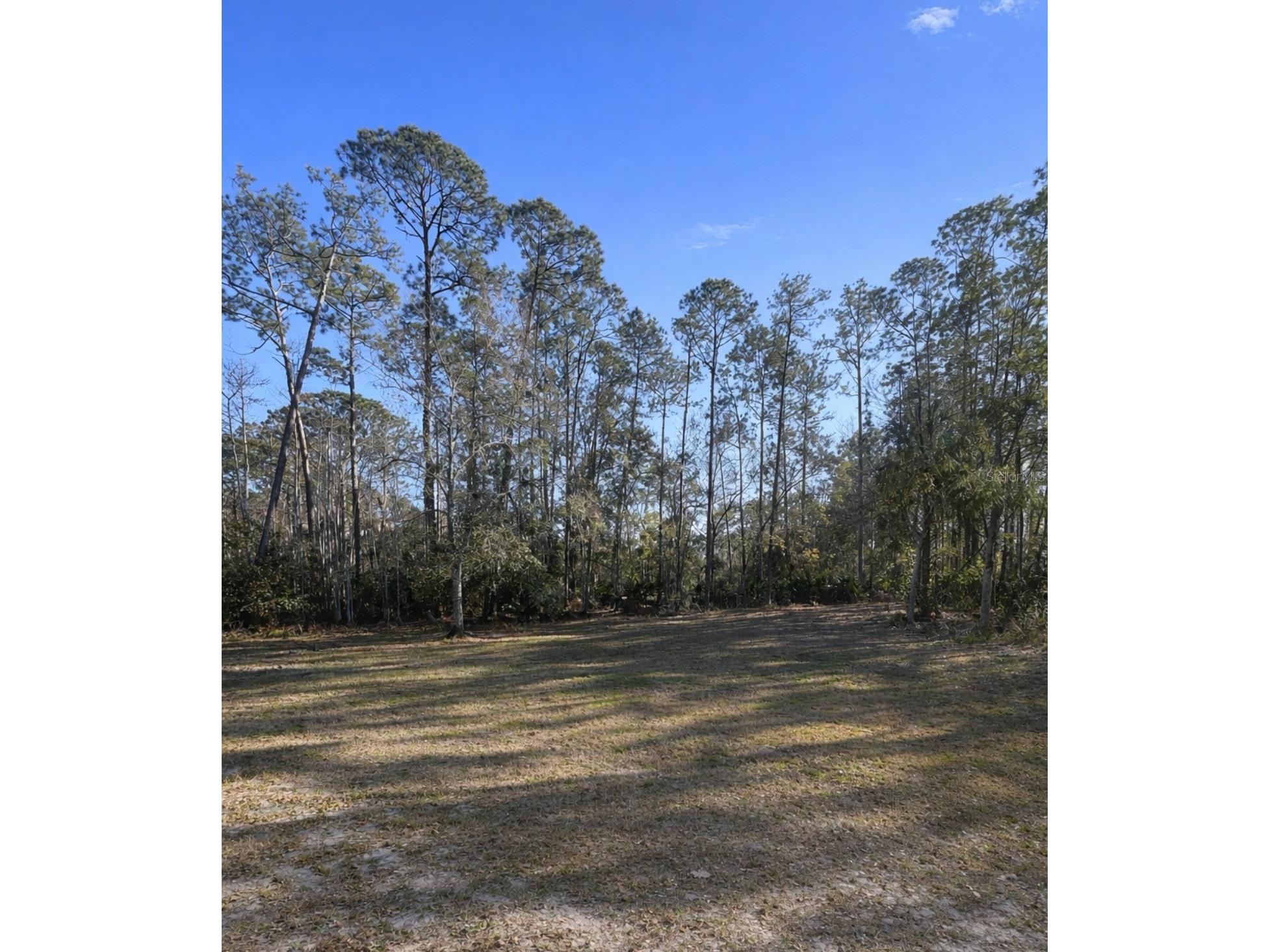 425 Western Road New Smyrna Beach FL 32168 NS1087372 image5