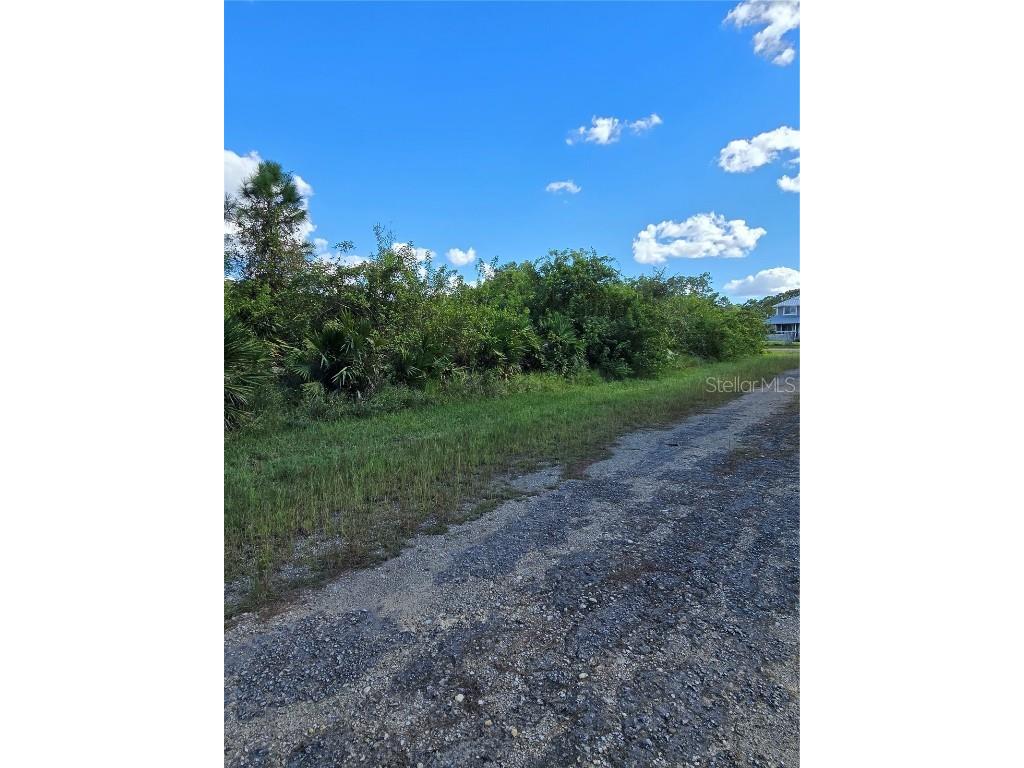 425 Wilder Avenue S Lehigh Acres FL 33974 O6354244 image4