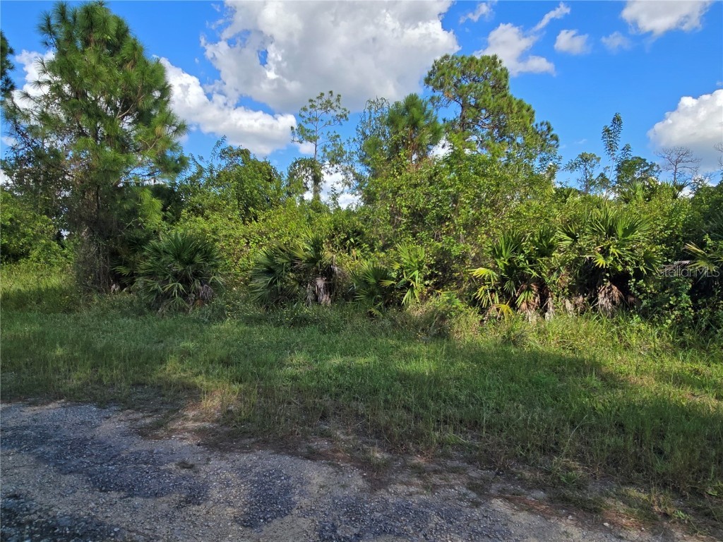 425 Wilder Avenue S Lehigh Acres FL 33974 O6354244 image6