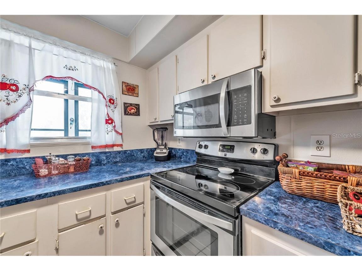 425 Windrush Bay Drive #425 Tarpon Springs FL 34689 TB8446302 image15