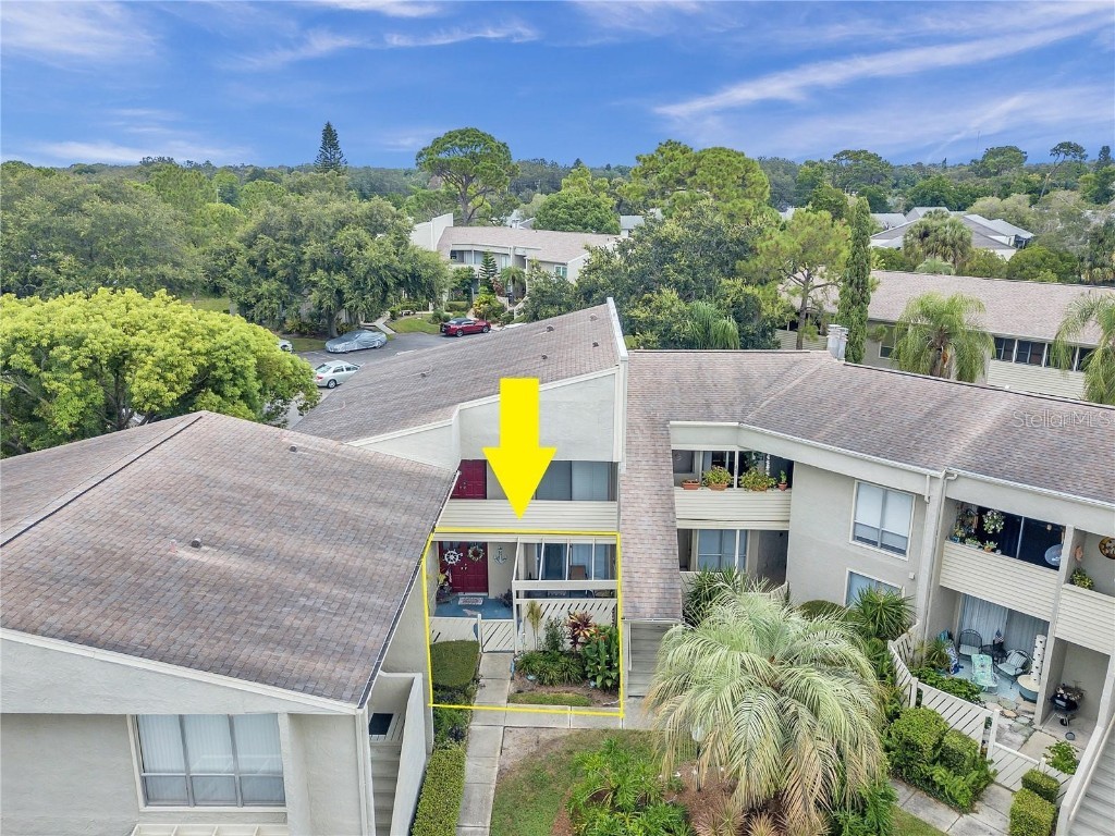 425 Windrush Bay Drive #425 Tarpon Springs FL 34689 TB8446302 image24