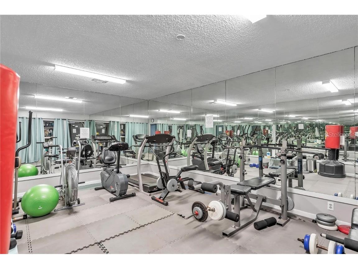 425 Windrush Bay Drive #425 Tarpon Springs FL 34689 TB8446302 image33