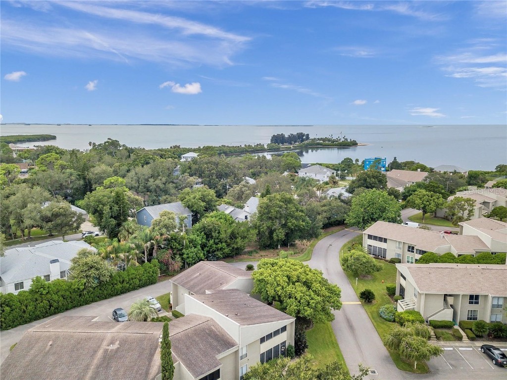 425 Windrush Bay Drive #425 Tarpon Springs FL 34689 TB8446302 image39
