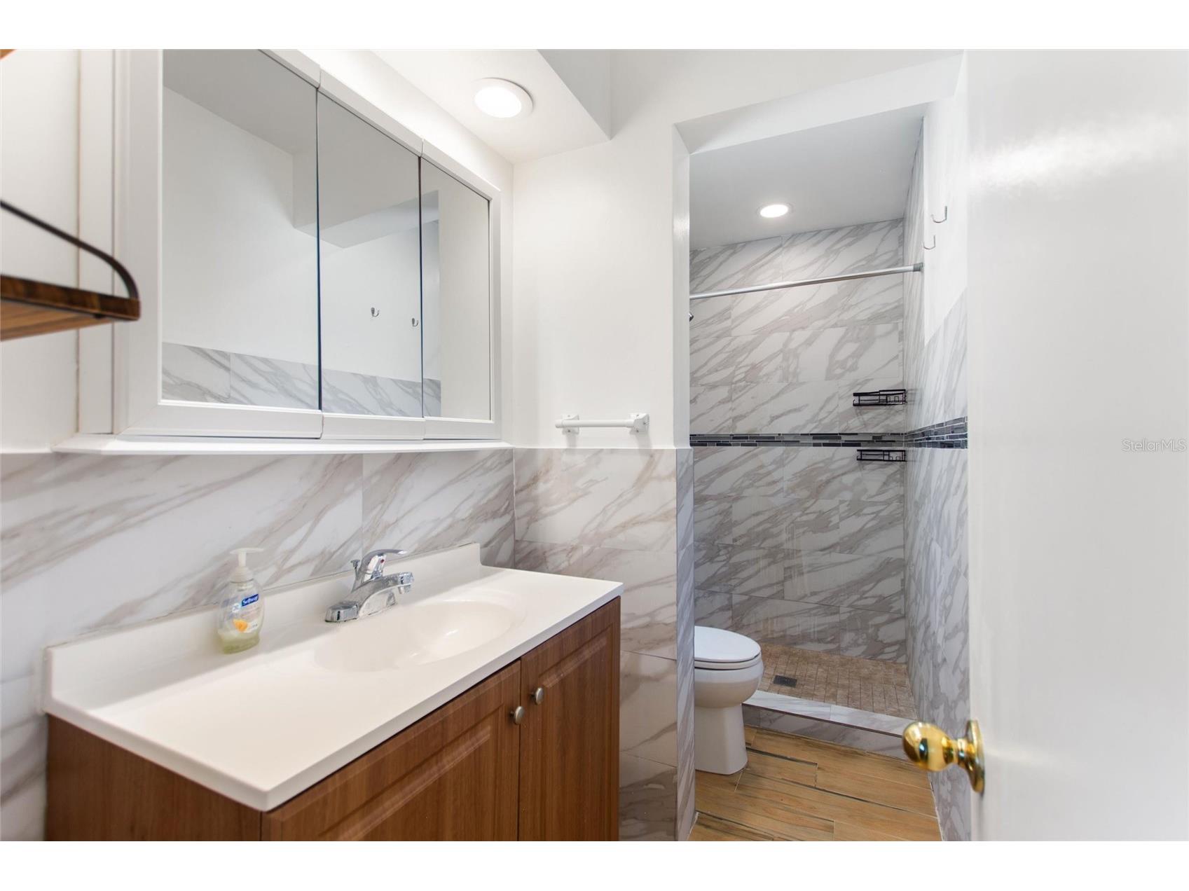 4250 37th Street S #5 Saint Petersburg FL 33711 TB8466557 image23