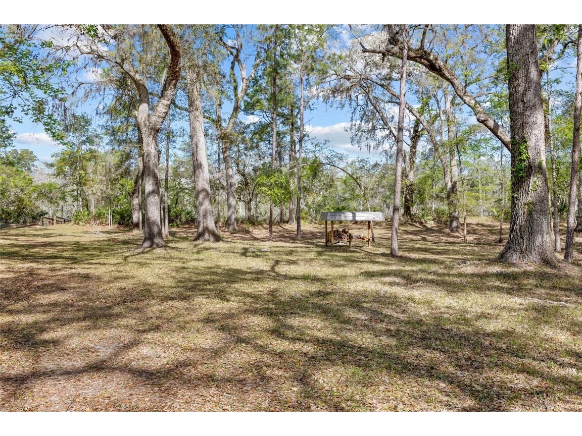 4250 NW 81st Lane Bell FL 32619 - SUWANNEE GC533232 image43