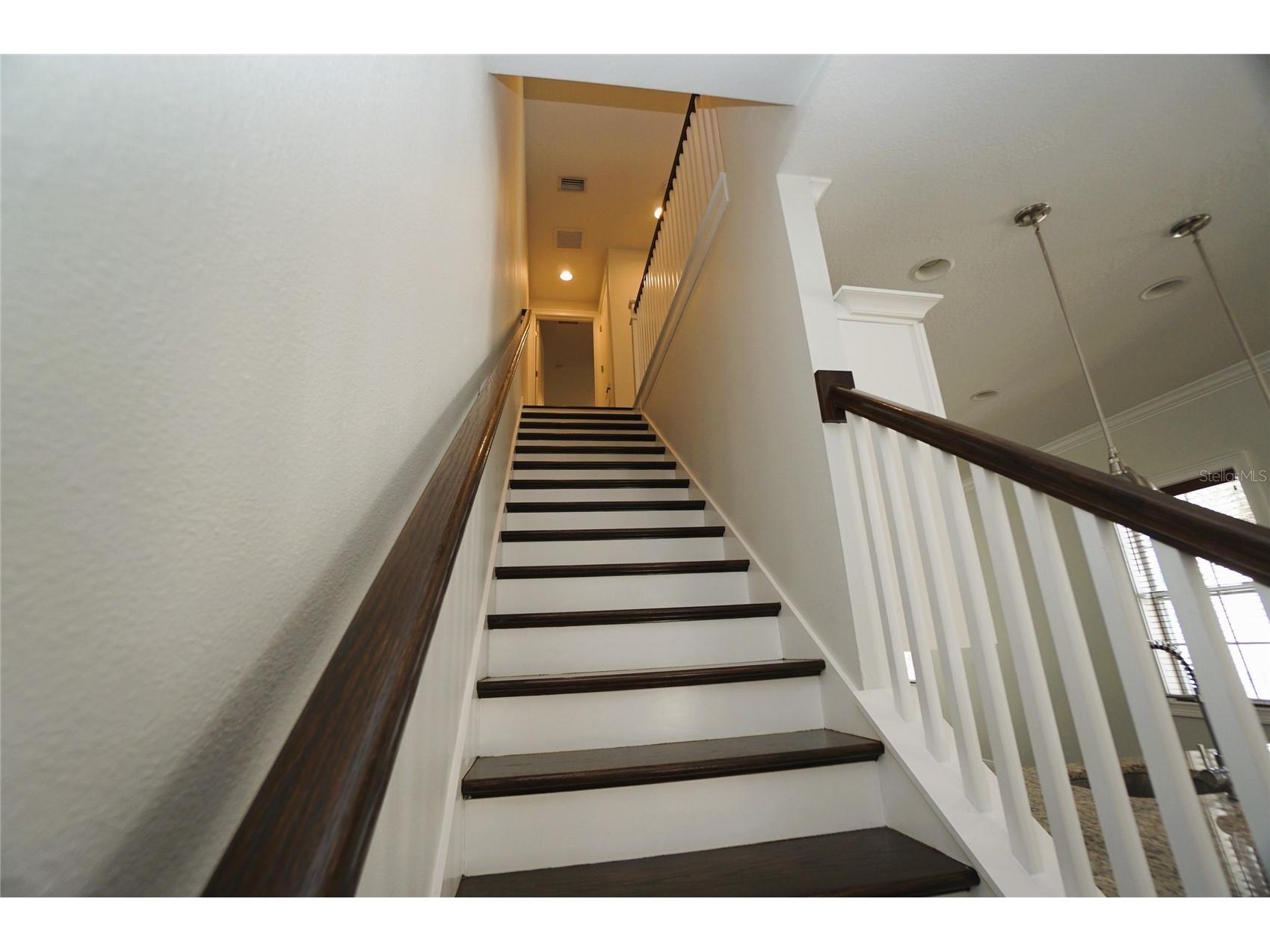 4250 W Carmen Street Tampa FL 33609 TB8523823 image17