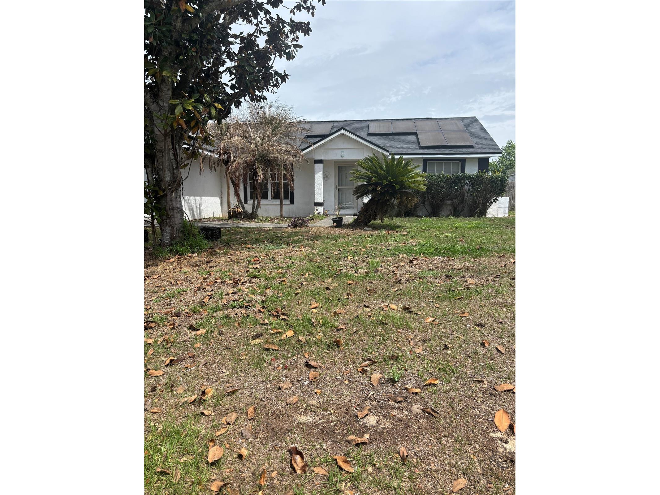 4250 Worthington Place Mascotte FL 34753 S5147823 image2