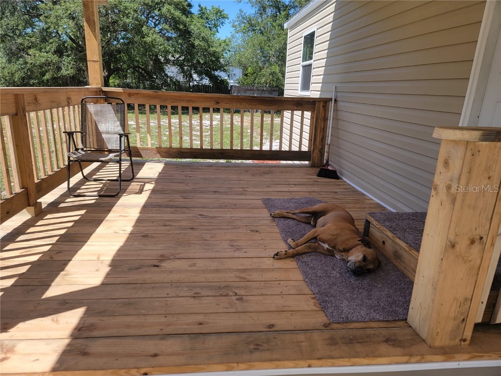 42509 North Circle Paisley FL 32767 OM657483 image1