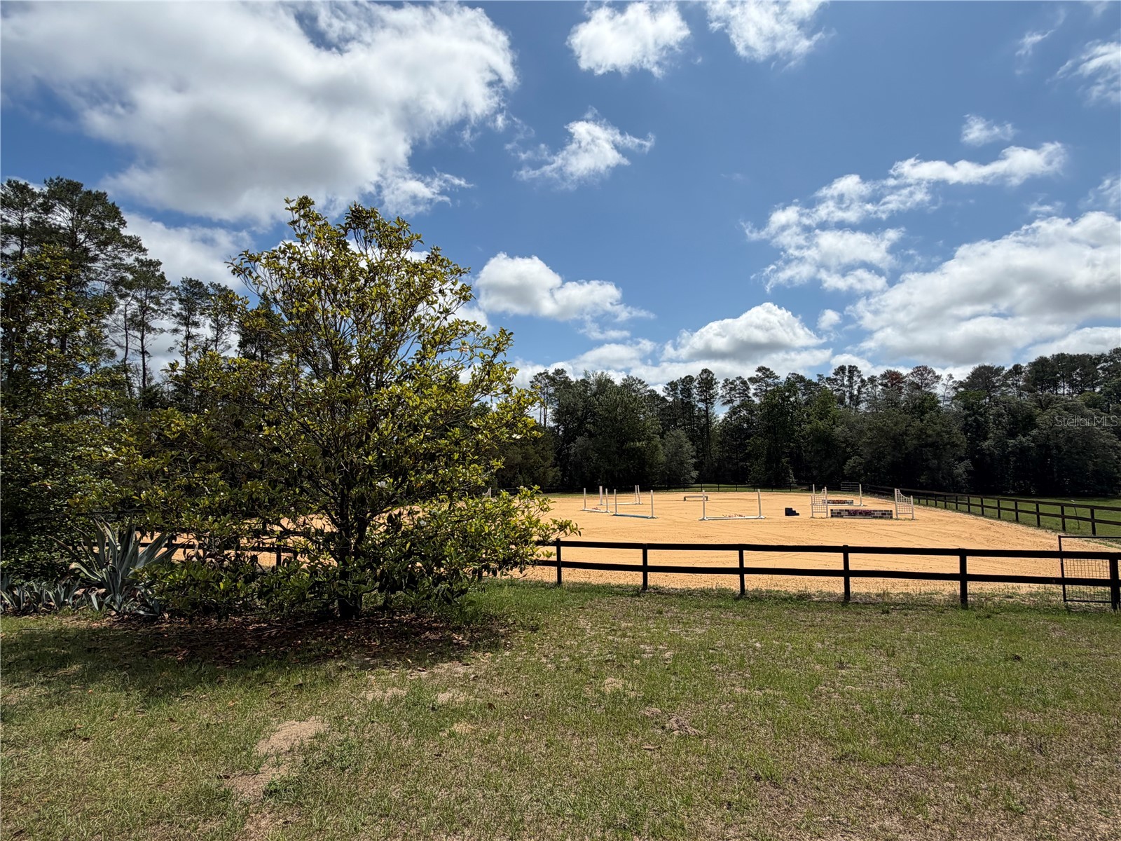 4251 NE 136th Avenue Williston FL 32696 OM725040 image20
