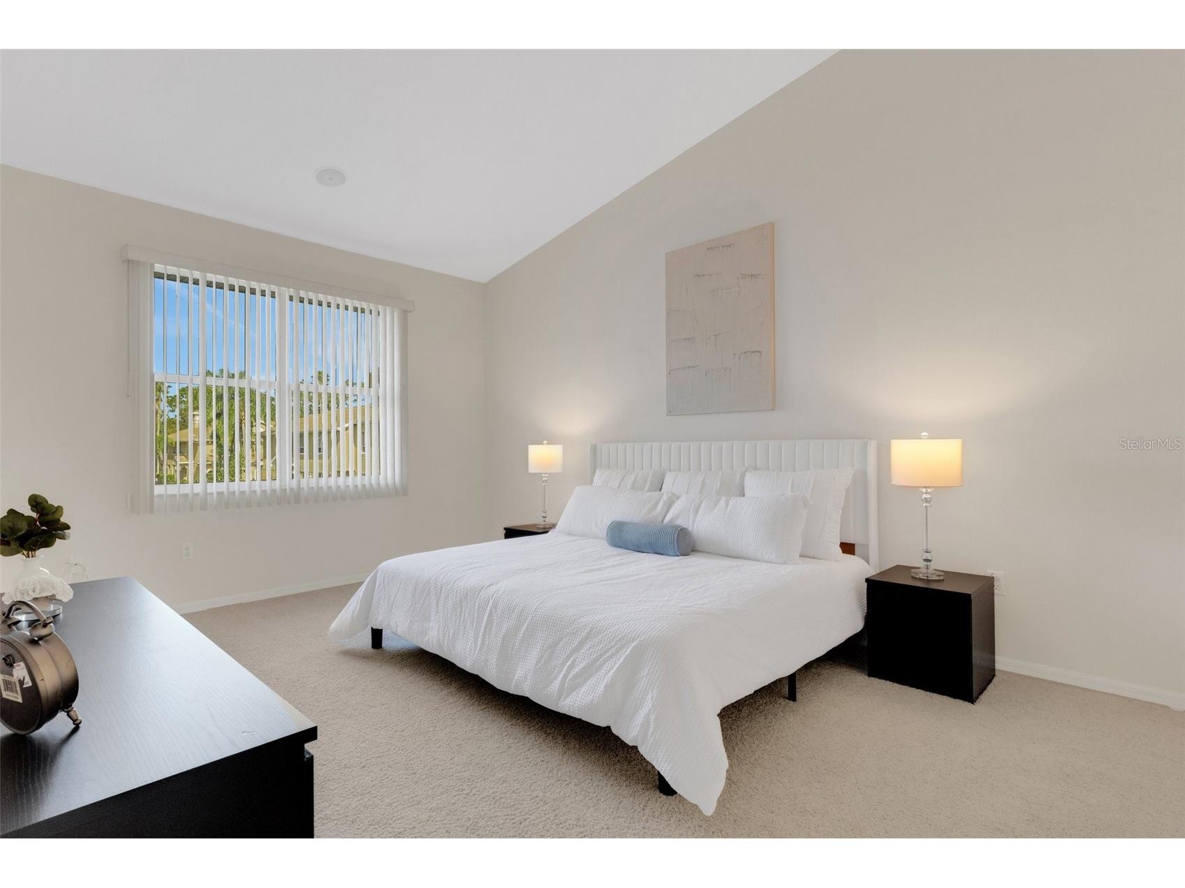 4251 Preserve Place Palm Harbor FL 34685 TB8304406 image14