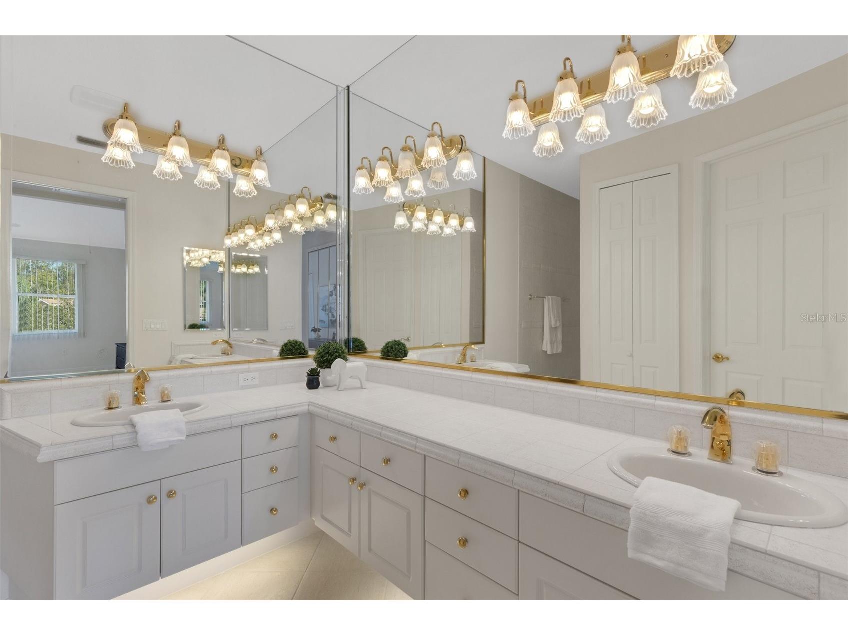 4251 Preserve Place Palm Harbor FL 34685 TB8304406 image17