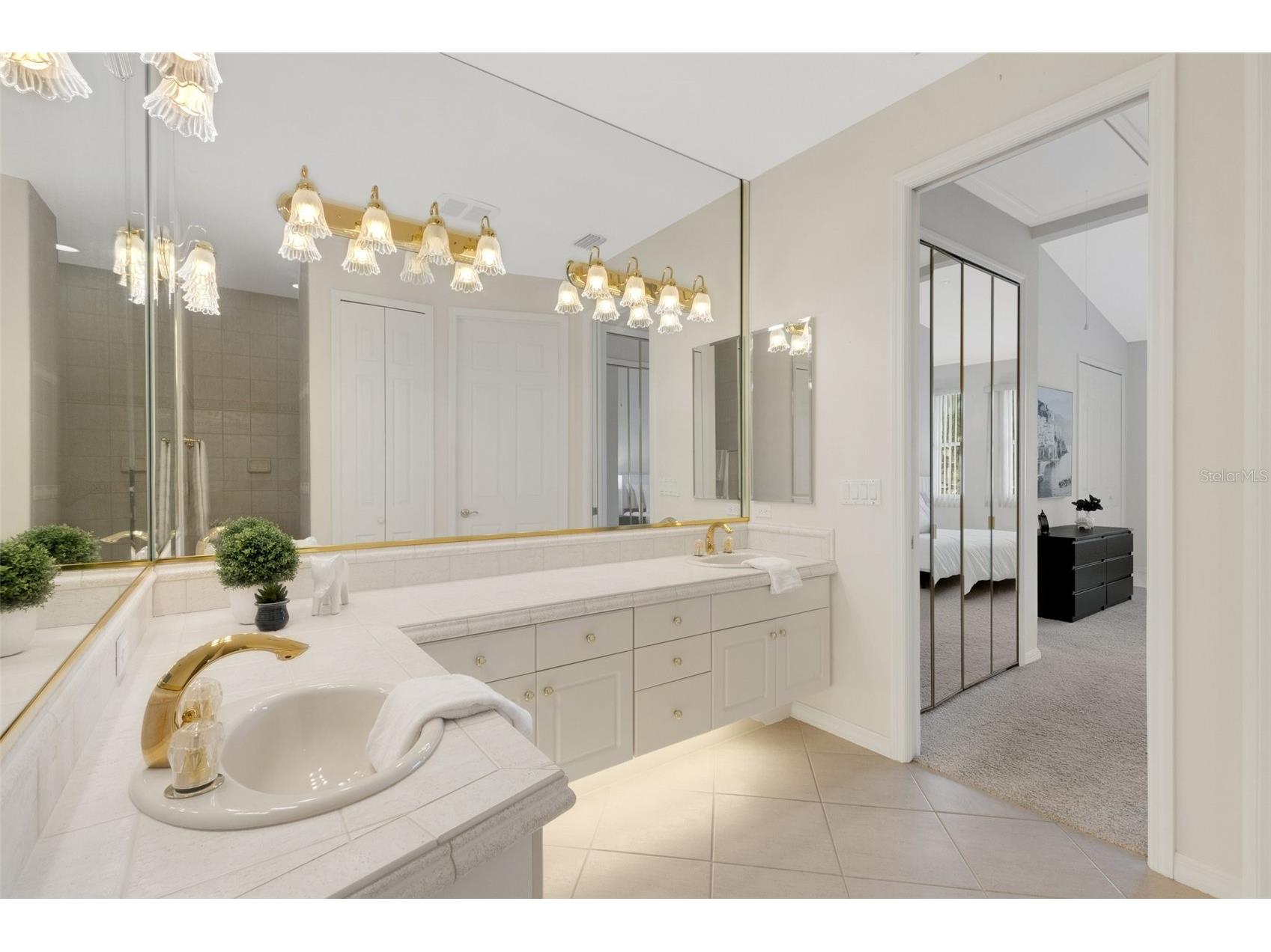 4251 Preserve Place Palm Harbor FL 34685 TB8304406 image18