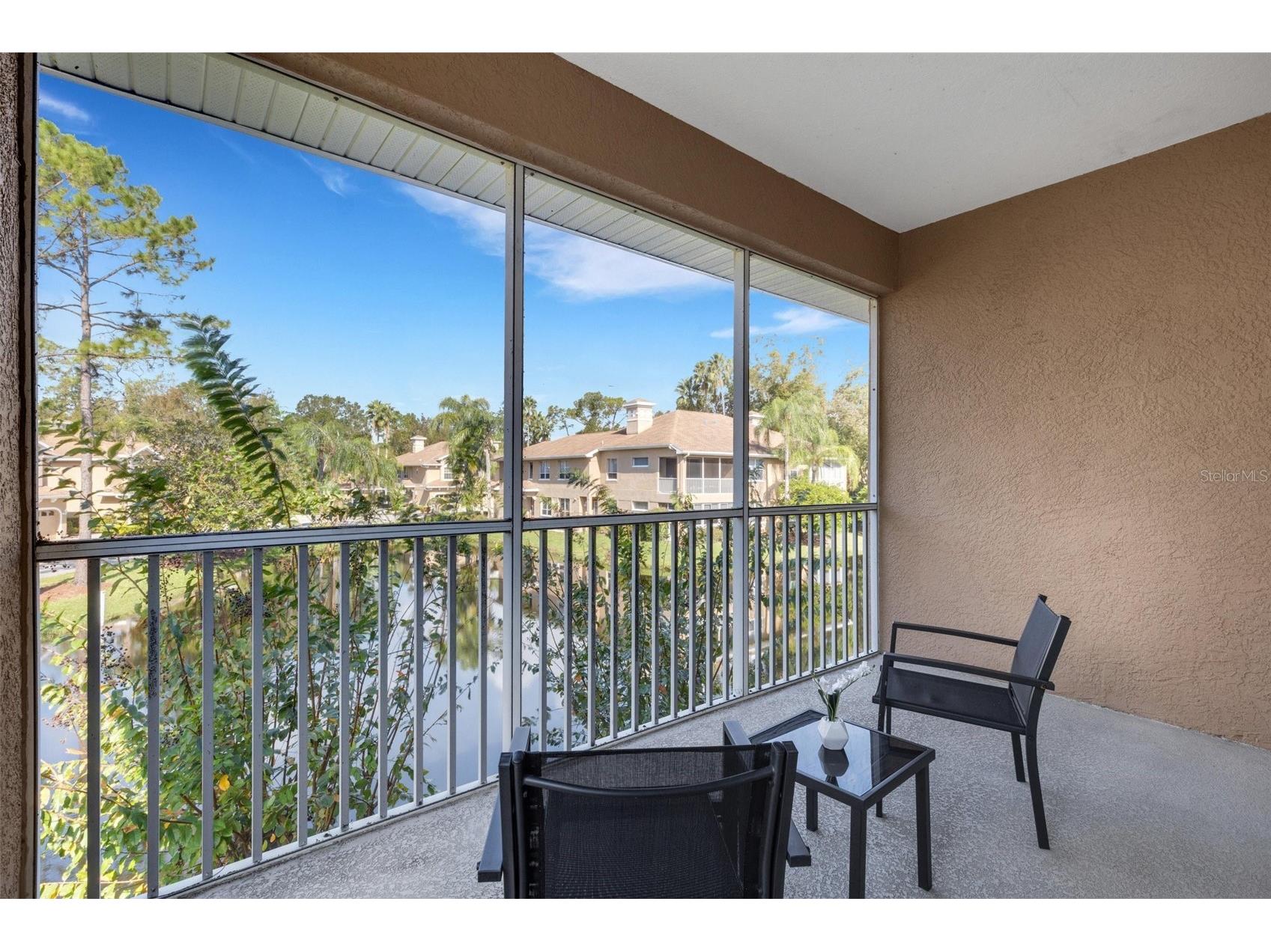 4251 Preserve Place Palm Harbor FL 34685 TB8304406 image19