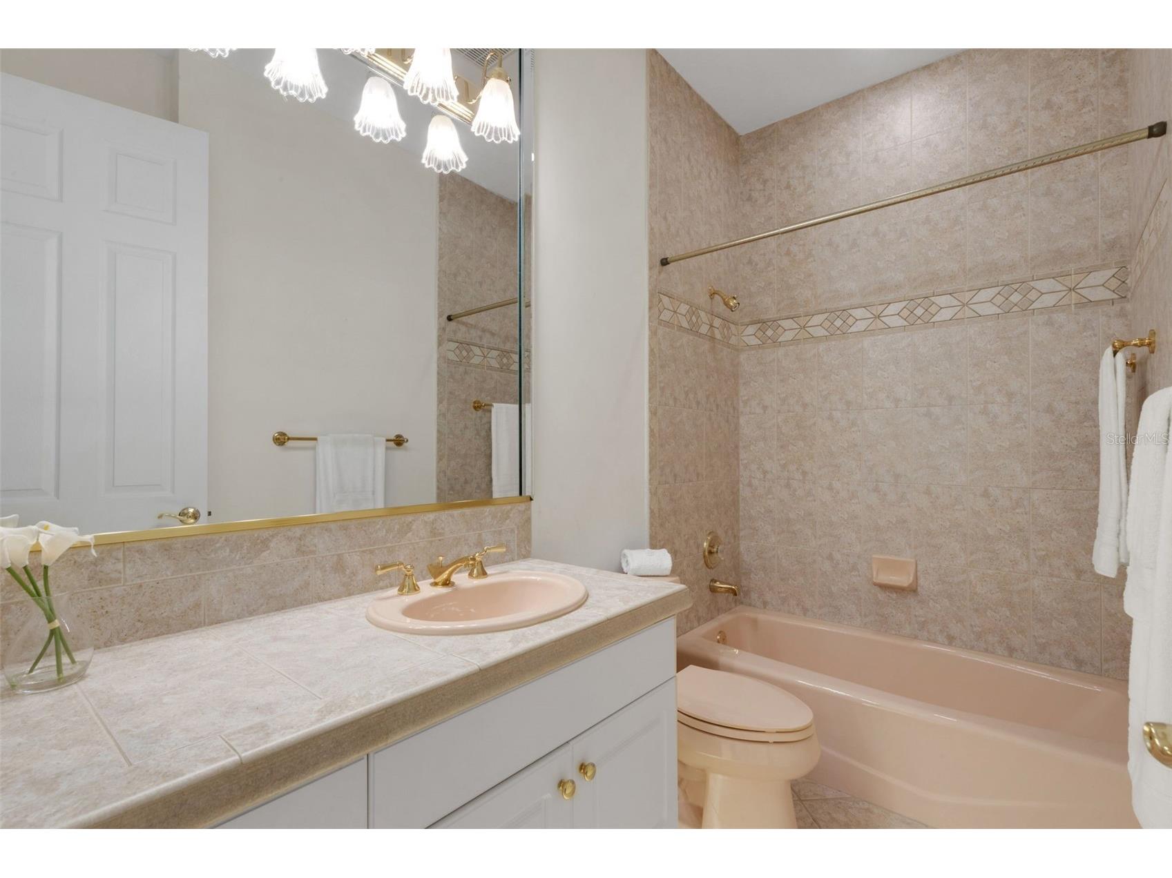 4251 Preserve Place Palm Harbor FL 34685 TB8304406 image26