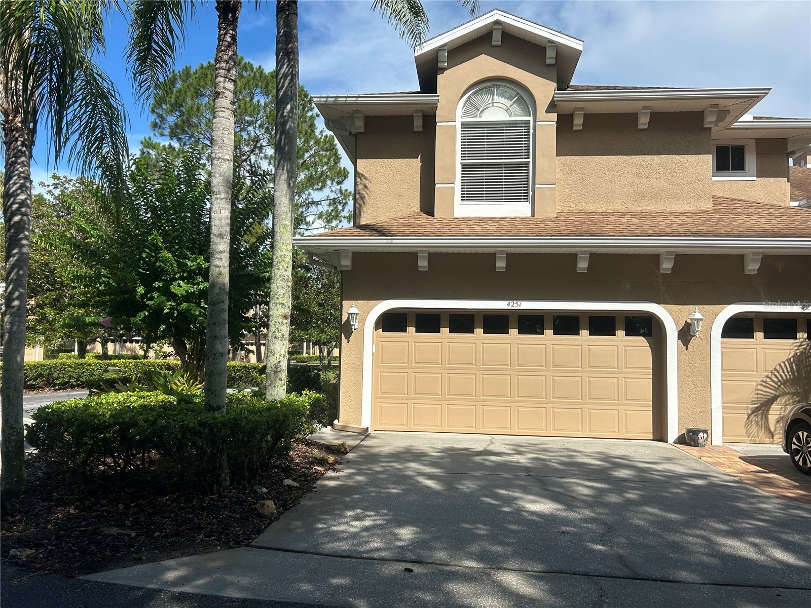 4251 Preserve Place Palm Harbor FL 34685 TB8304406 image3
