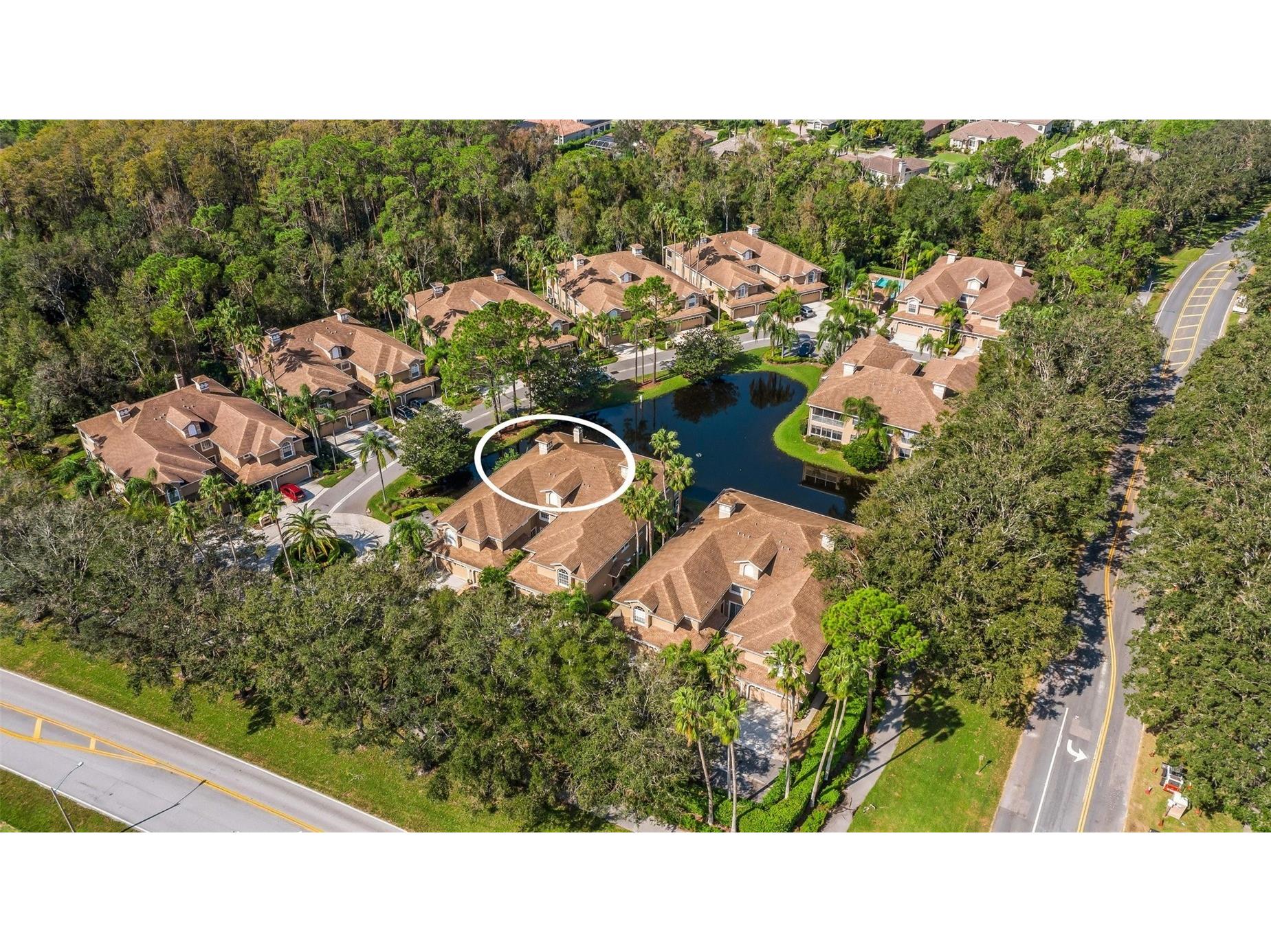 4251 Preserve Place Palm Harbor FL 34685 TB8304406 image32