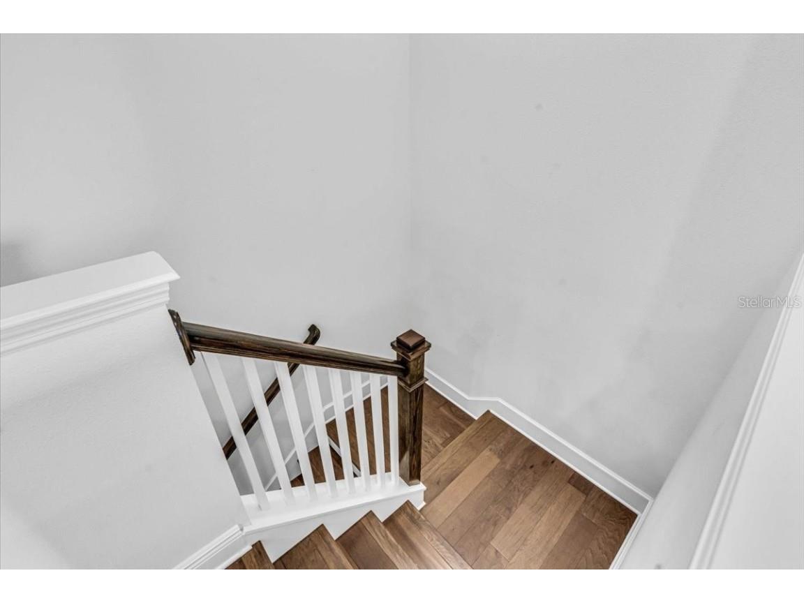 4251 W Roland Street Tampa FL 33609 TB8413877 image28