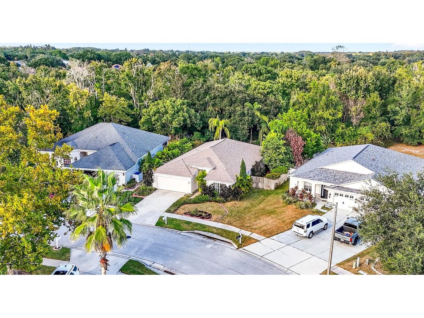 4251 Whittner Drive Land O Lakes FL 34639 TB8345957 image2