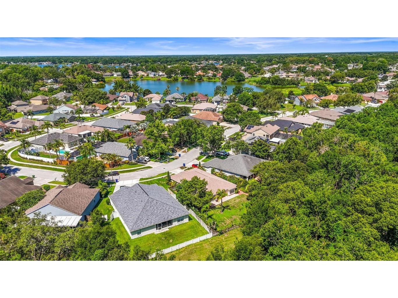 4251 Whittner Drive Land O Lakes FL 34639 TB8345957 image37