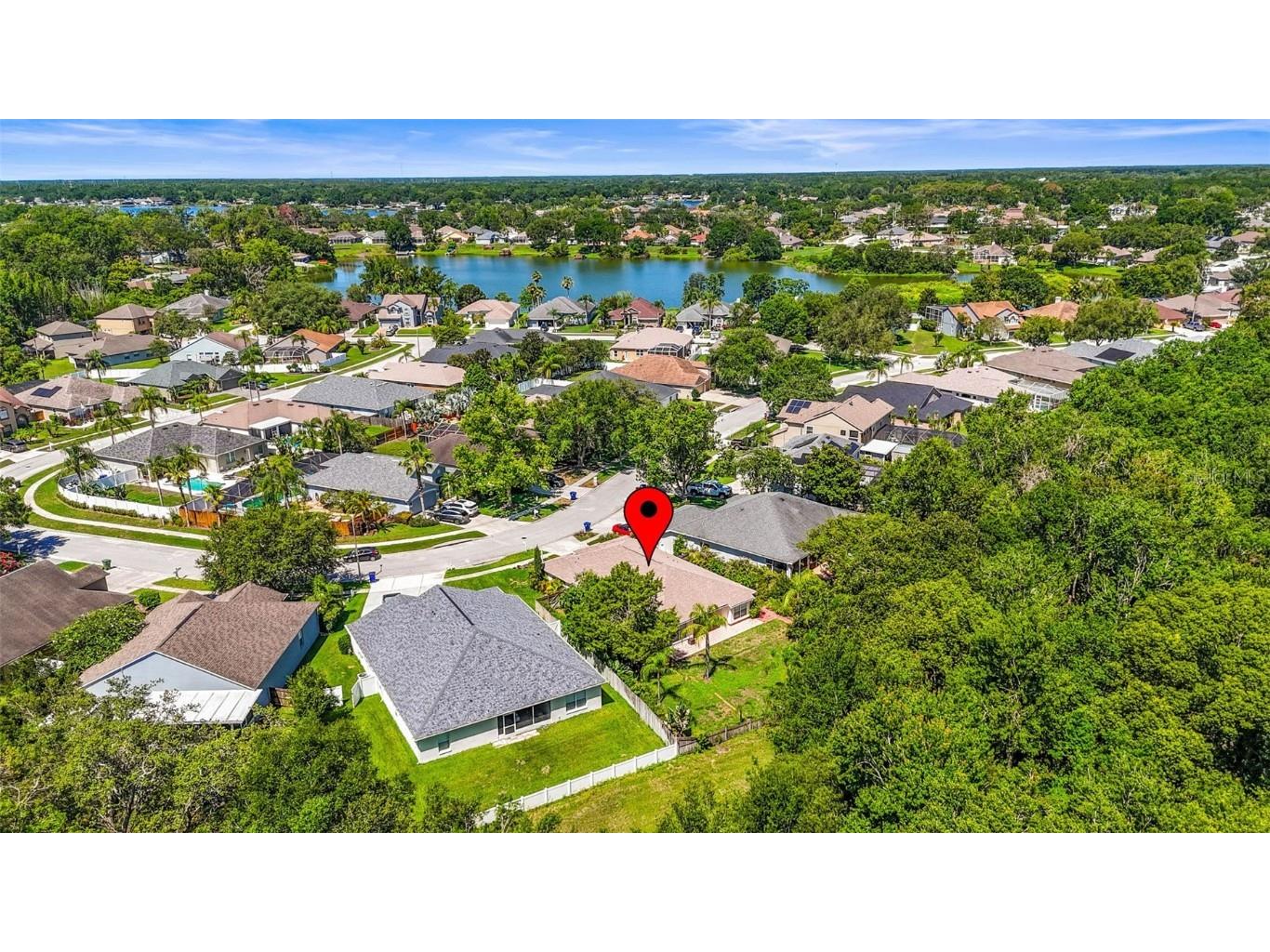 4251 Whittner Drive Land O Lakes FL 34639 TB8345957 image38