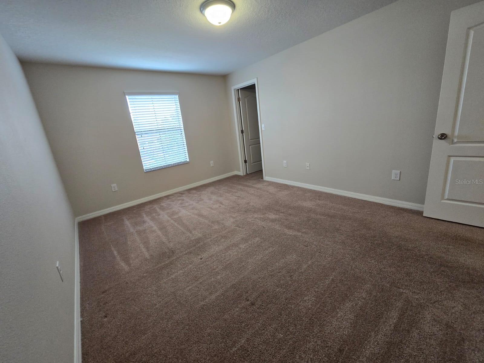 4252 Fennwood Court Wesley Chapel FL 33543 A4690544 image11