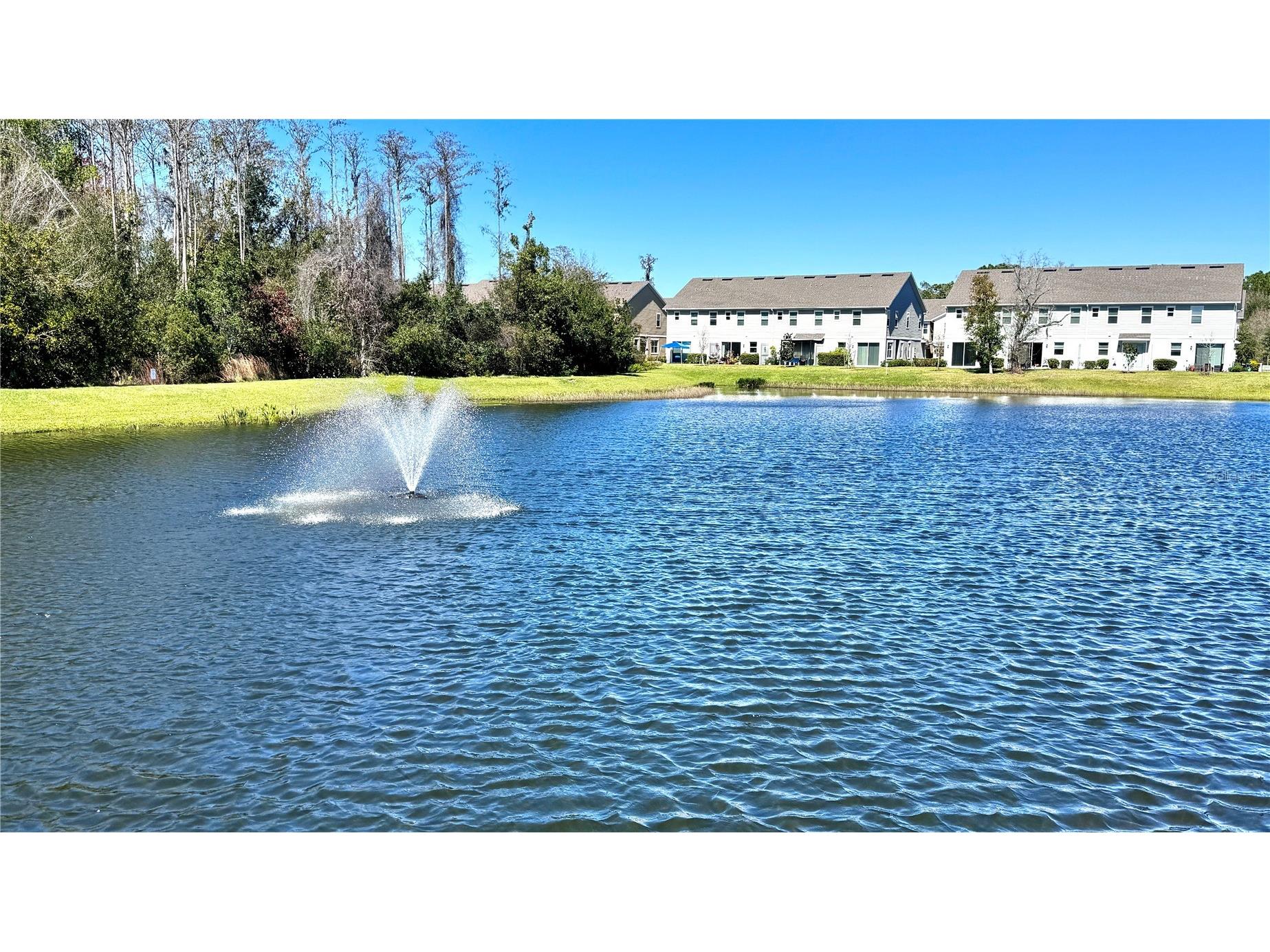 4252 Gumbo Limbo Drive Orlando FL 32822 O6416862 image28