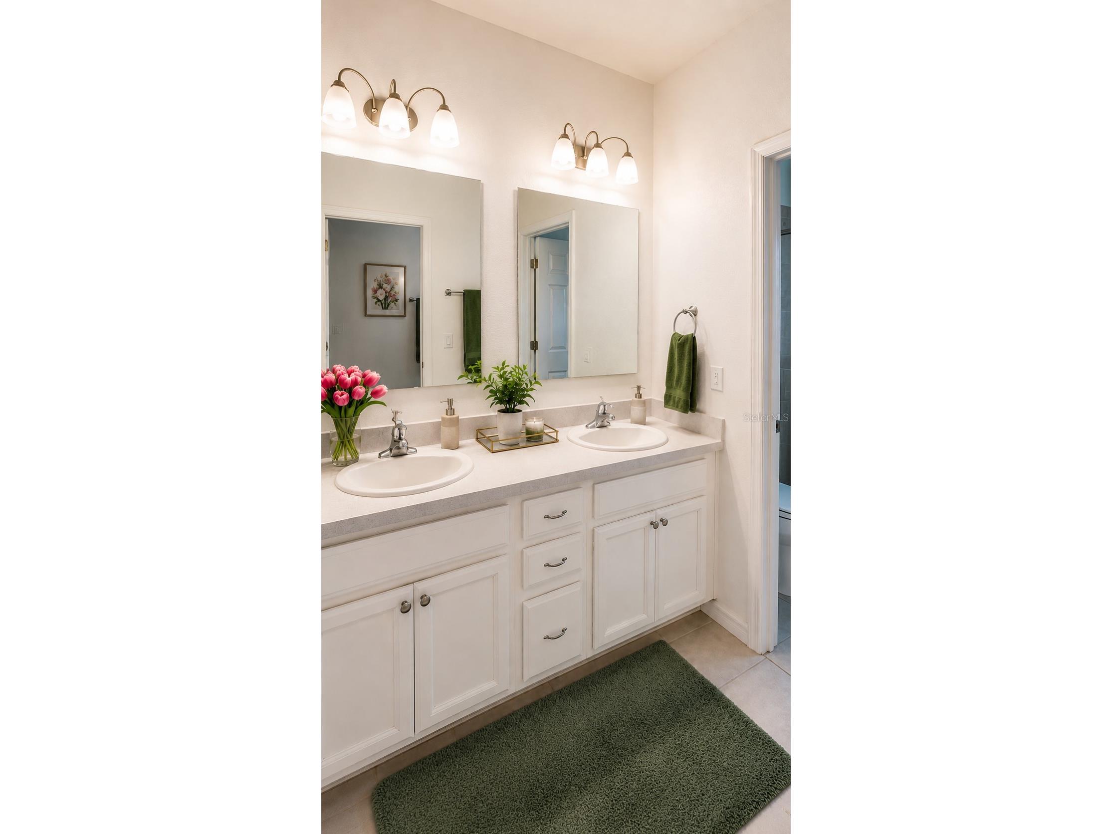 4252 Gumbo Limbo Drive Orlando FL 32822 O6416862 image8