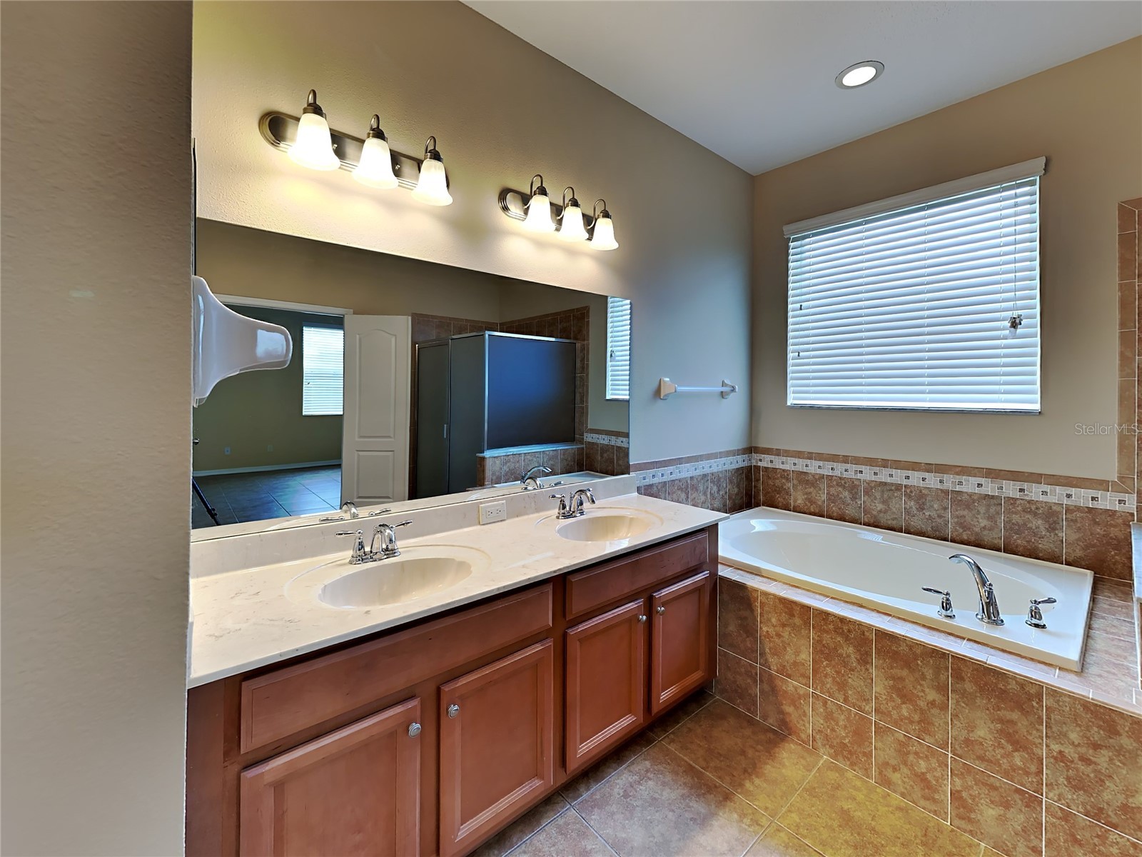 4252 Hawksley Place Wesley Chapel FL 33545 TB8501814 image12
