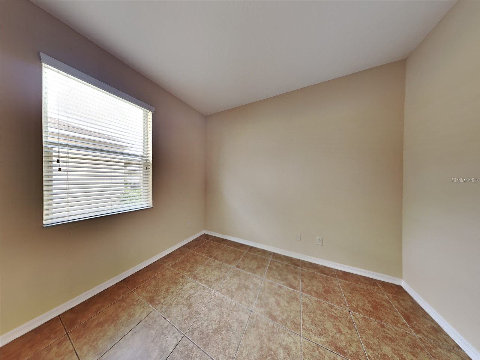 4252 Hawksley Place Wesley Chapel FL 33545 TB8501814 image13