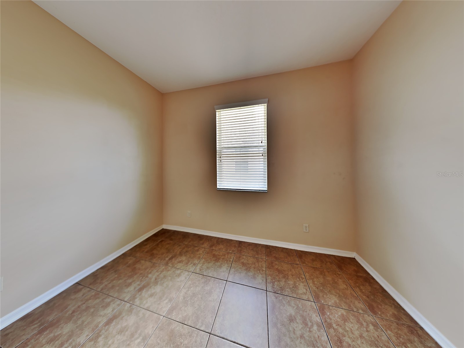 4252 Hawksley Place Wesley Chapel FL 33545 TB8501814 image15