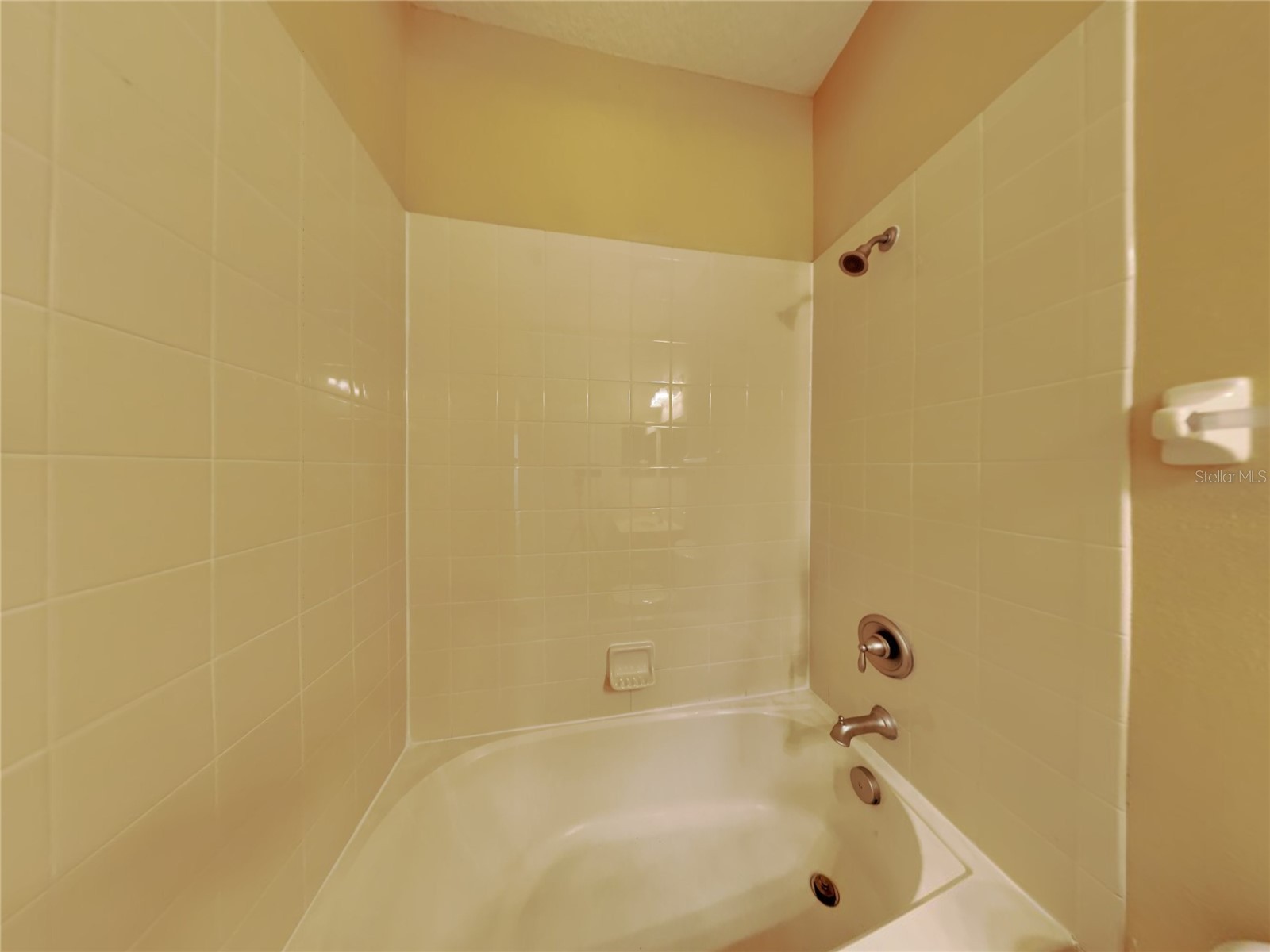 4252 Hawksley Place Wesley Chapel FL 33545 TB8501814 image16