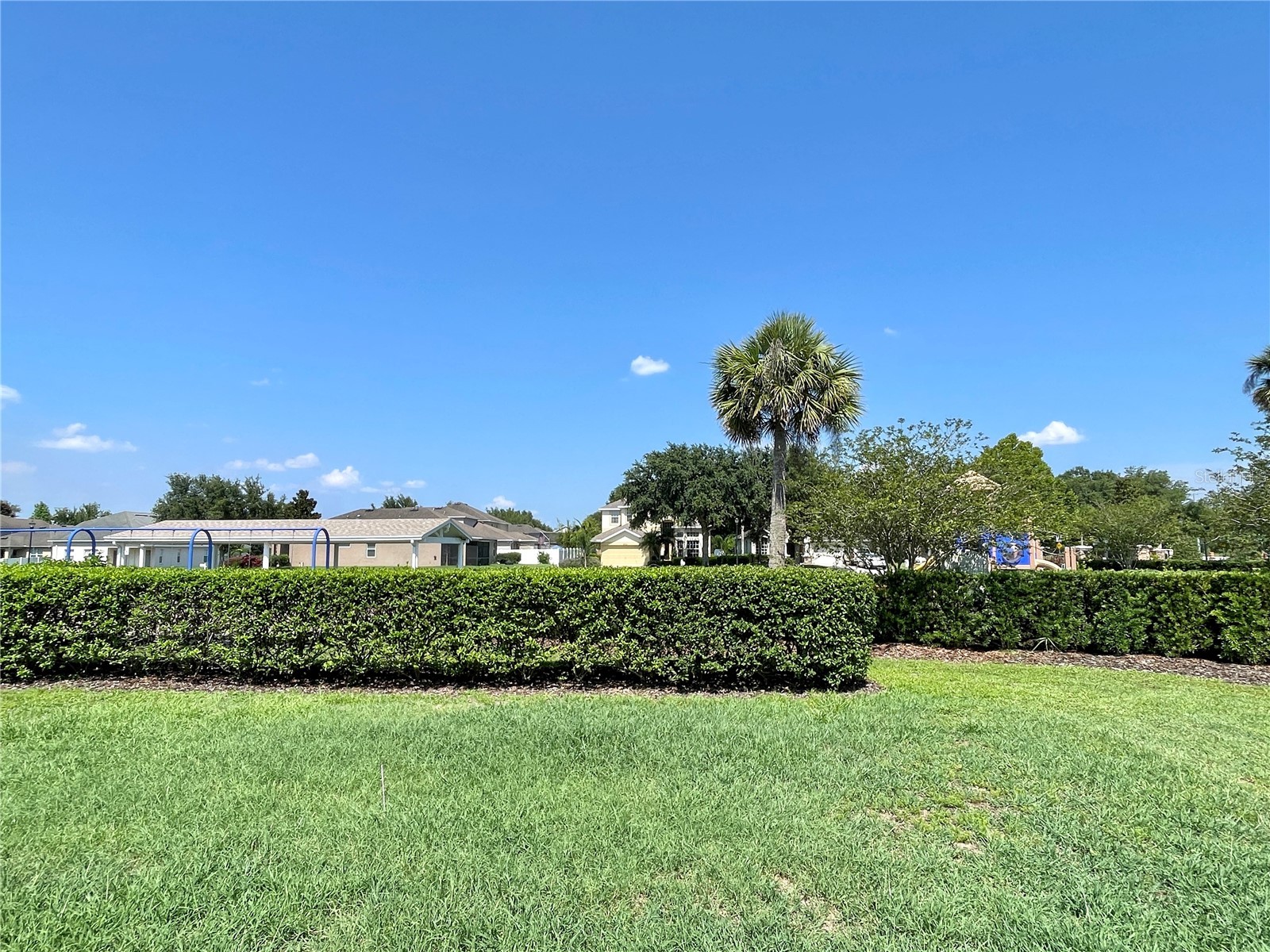 4252 Hawksley Place Wesley Chapel FL 33545 TB8501814 image21