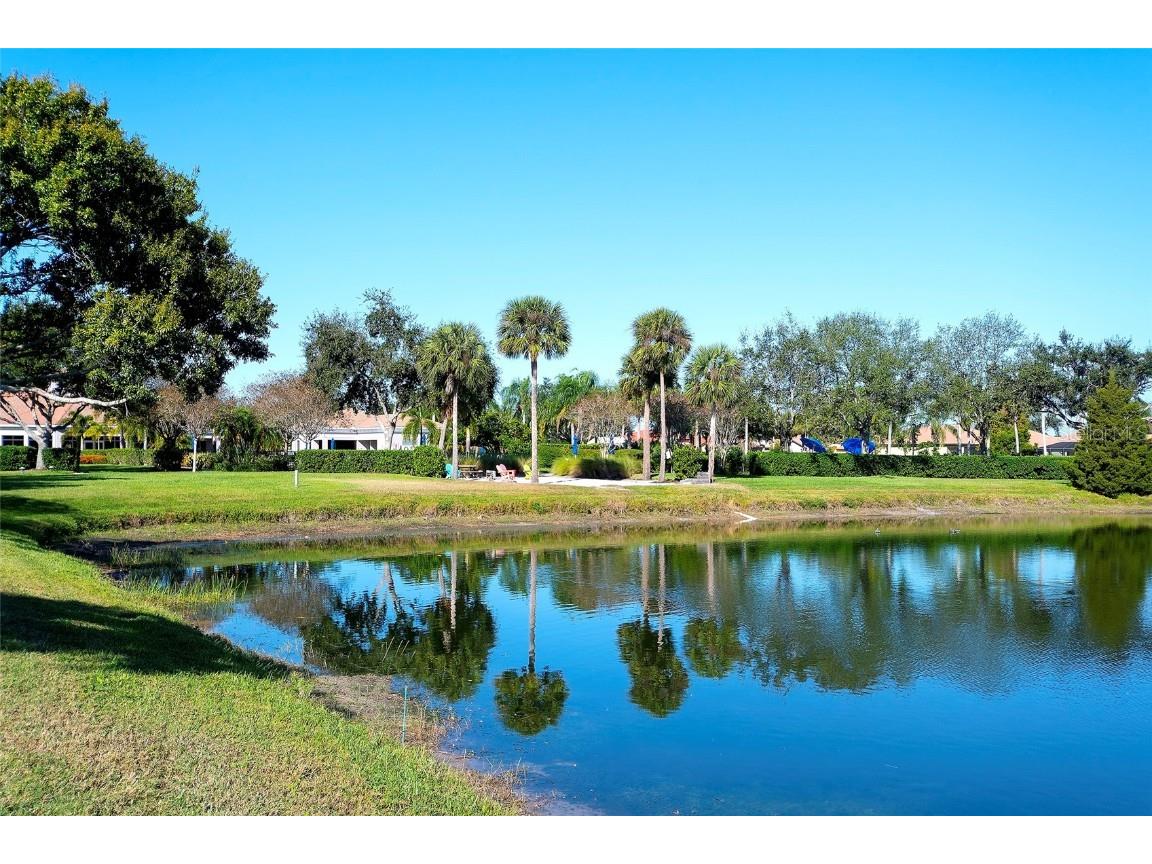 4253 Cascade Falls Drive Sarasota FL 34243 A4671108 image24