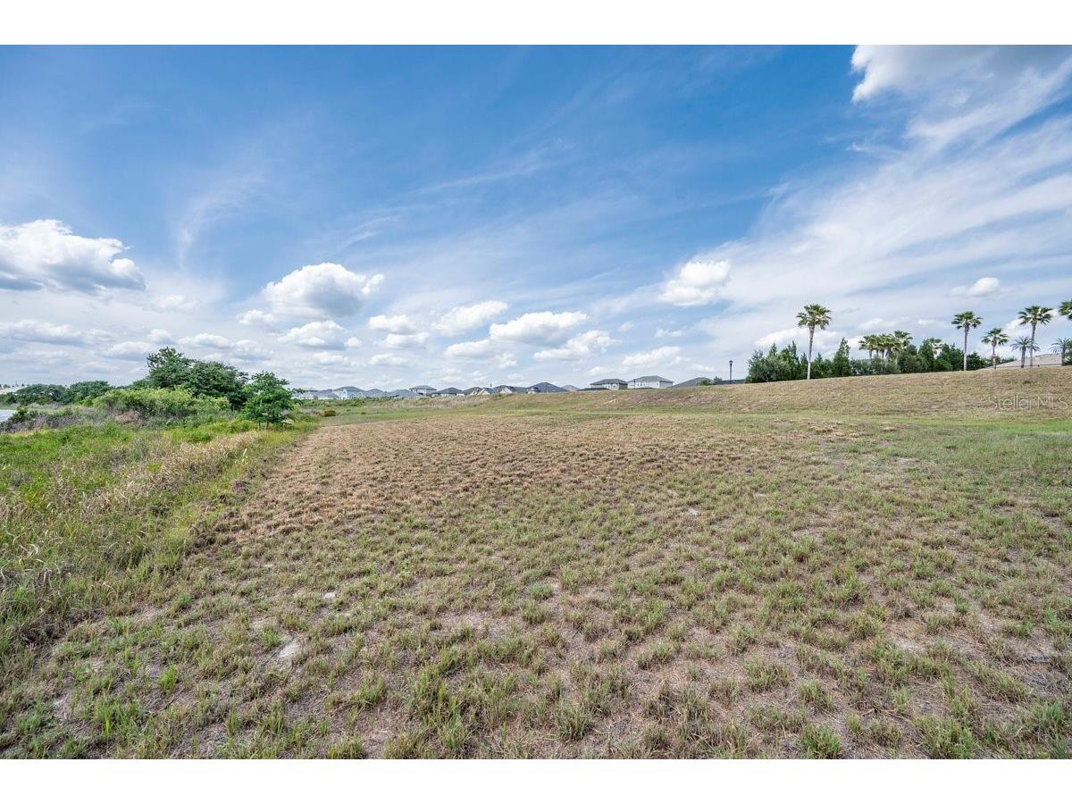4253 Juliana Lake Drive Auburndale FL 33823 - LAKE TENNESSEE O6405230 image14