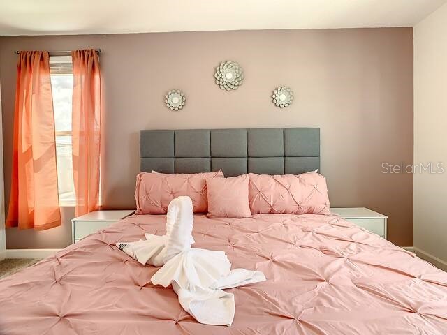 4253 Prologue Way Kissimmee FL 34746 O6346620 image28