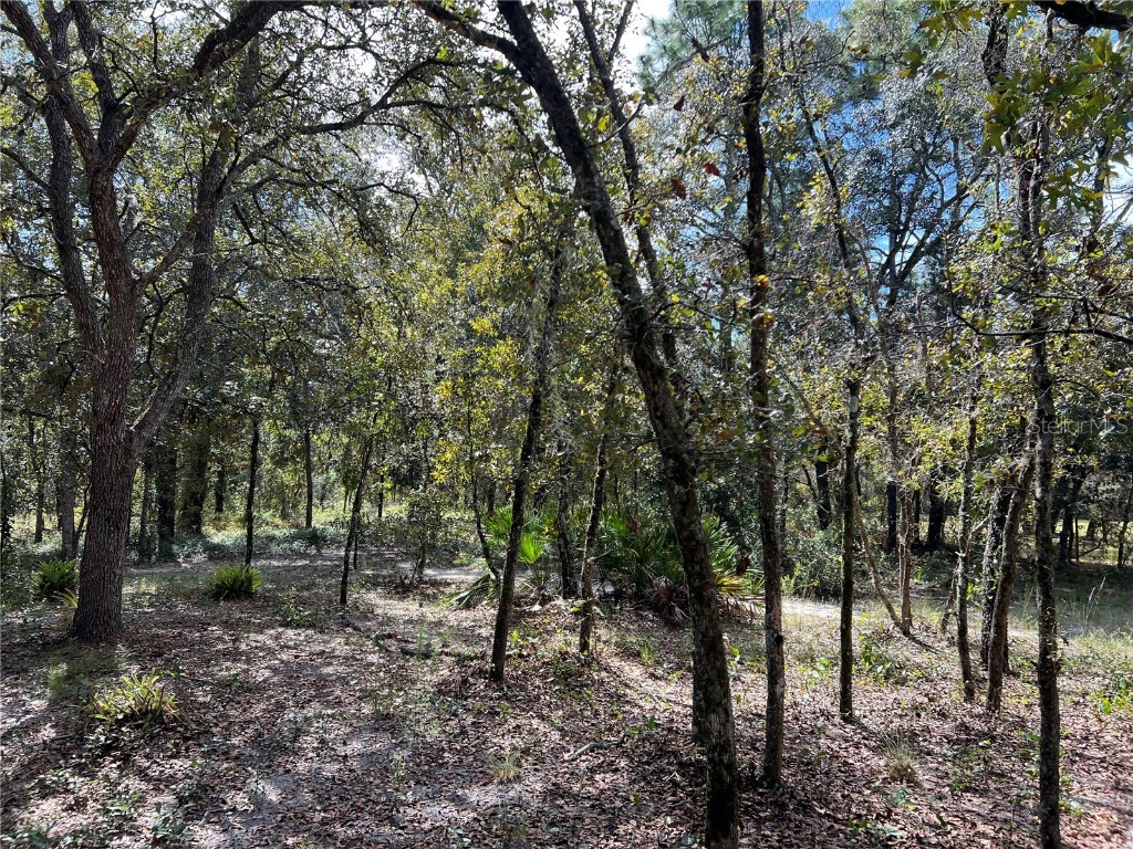 4254 W Meadow Street Homosassa FL 34446 G5103648 image26