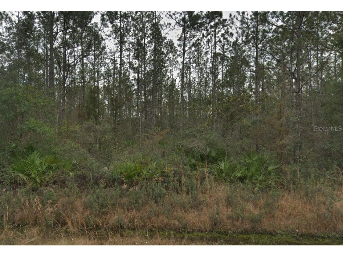 4255 Edward Street Hastings FL 32145 FC308509 image1