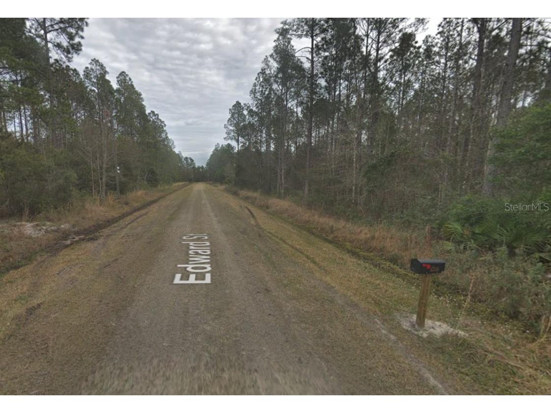 4255 Edward Street Hastings FL 32145 FC308509 image2