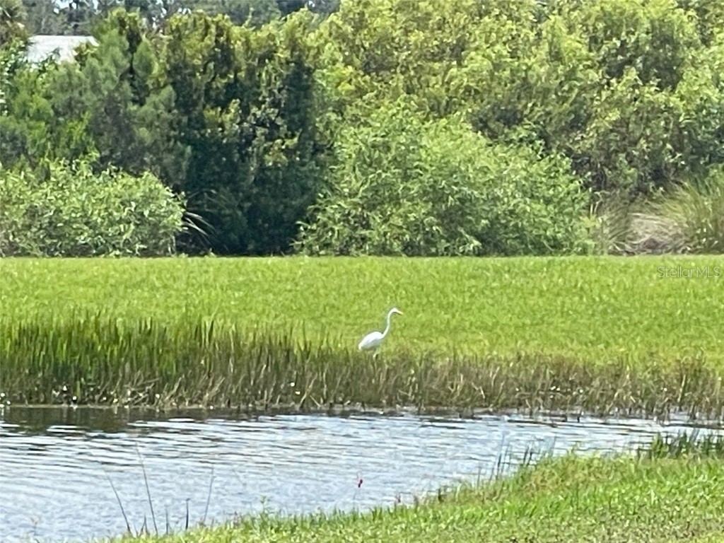 4255 Pond Brook Court Bradenton FL 34211 A4661487 image52