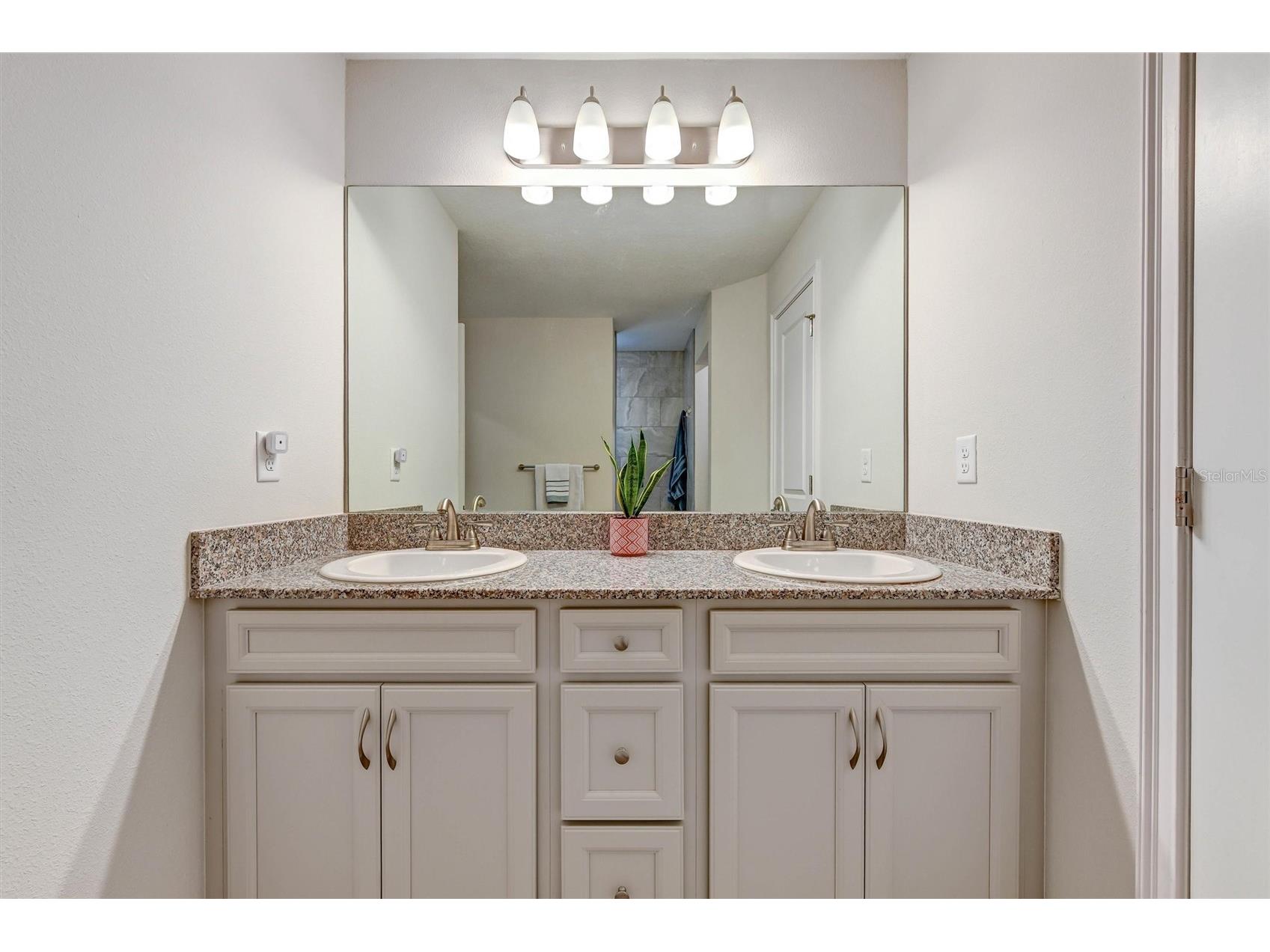 4255 Rachel Boulevard Spring Hill FL 34607 TB8493950 image23