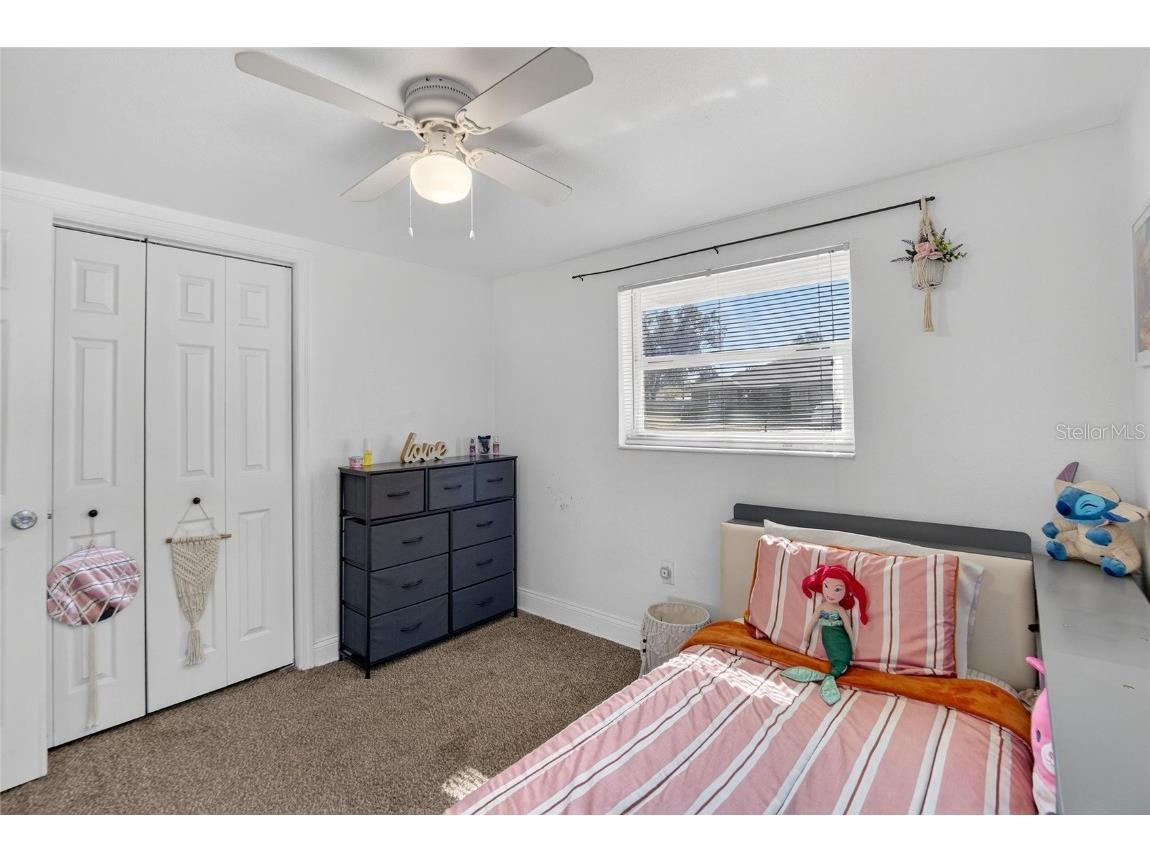 4255 Sabal Palm Drive Mulberry FL 33860 TB8450173 image27