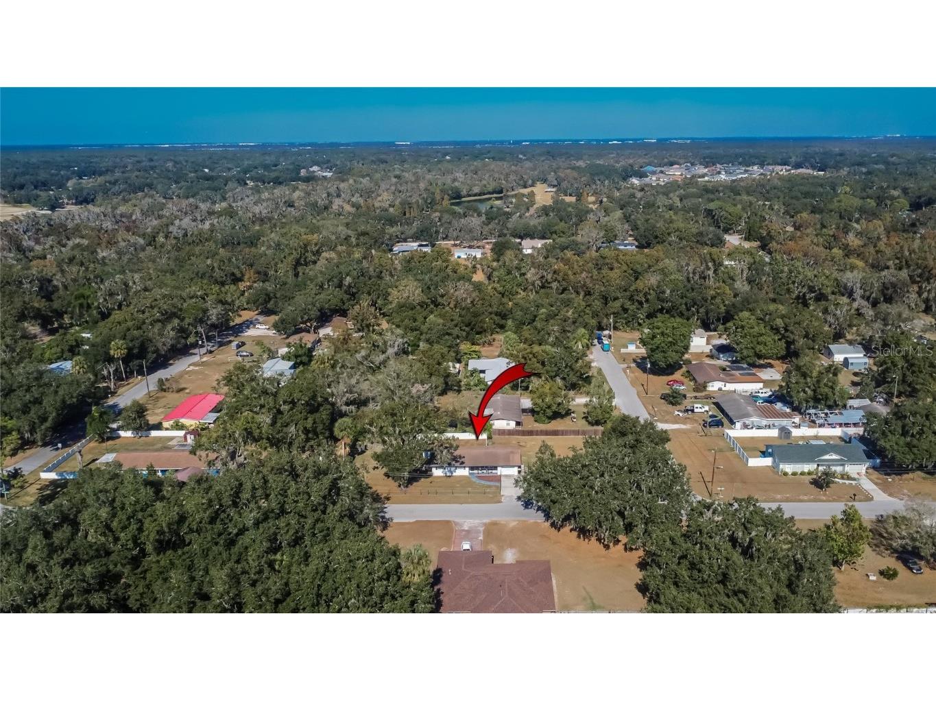 4255 Sabal Palm Drive Mulberry FL 33860 TB8450173 image59