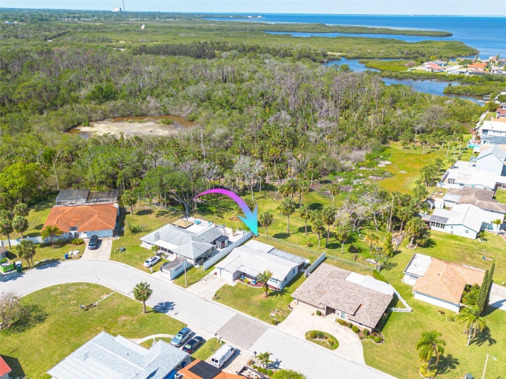 4256 Rudder Way New Port Richey FL 34652 TB8446771 image5