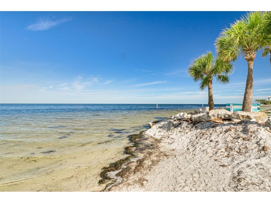 4256 Rudder Way New Port Richey FL 34652 TB8446771 image99