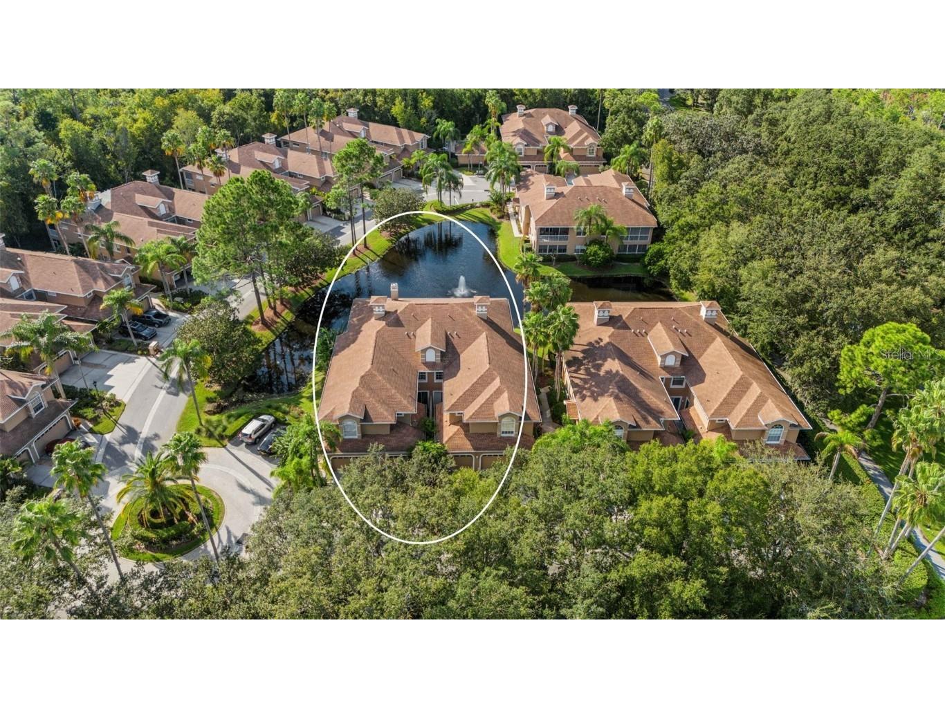 4257 Preserve Place Palm Harbor FL 34685 TB8301982 image1