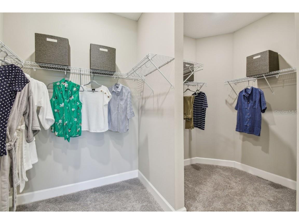 4257 Rosatti Road Wesley Chapel FL 33543 TB8373456 image25